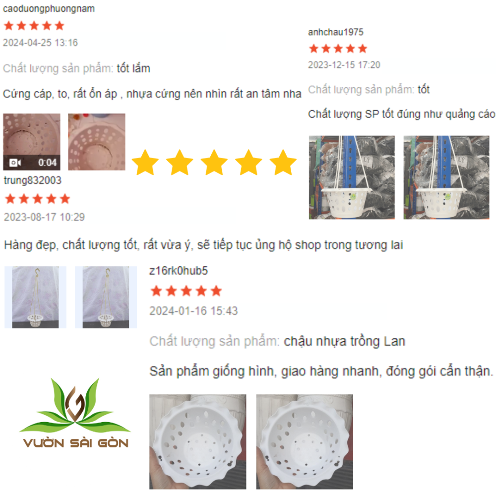 Chau Nhua Trong Lan (2)