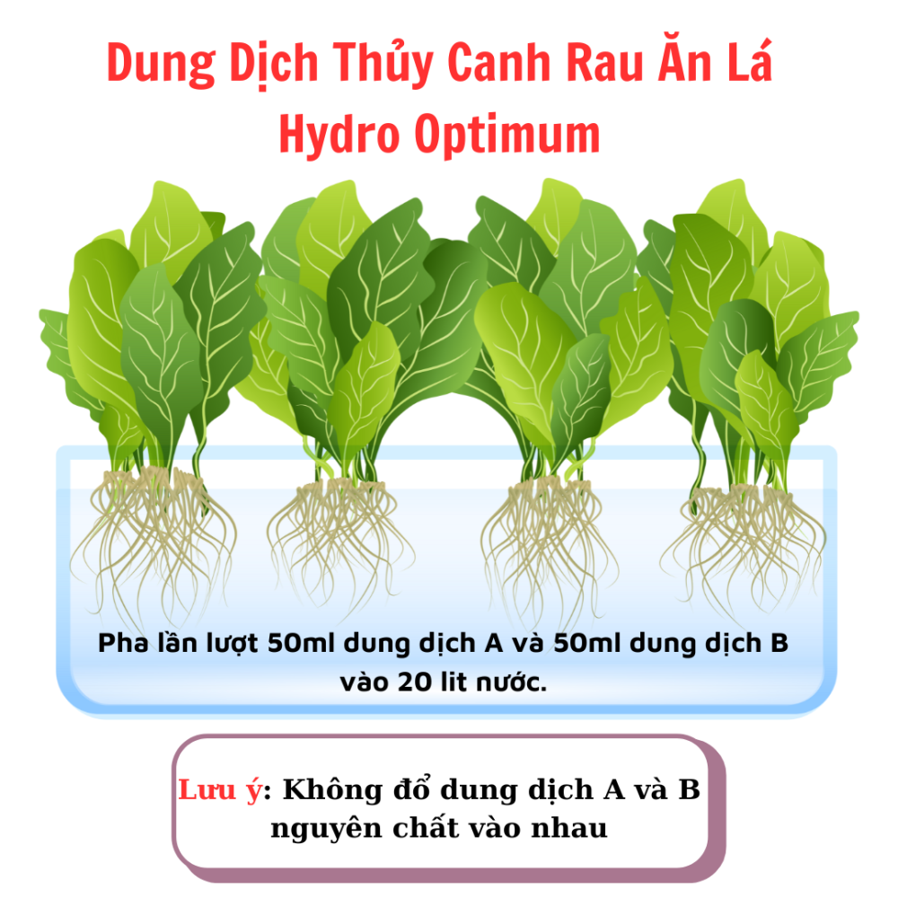 Dinh Duong Thuy Canh Rau An La Hydro Optimum (2)