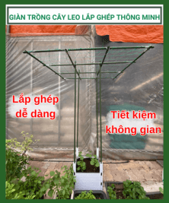 Gian Trong Cay Lap Ghep Thong Minh (2)