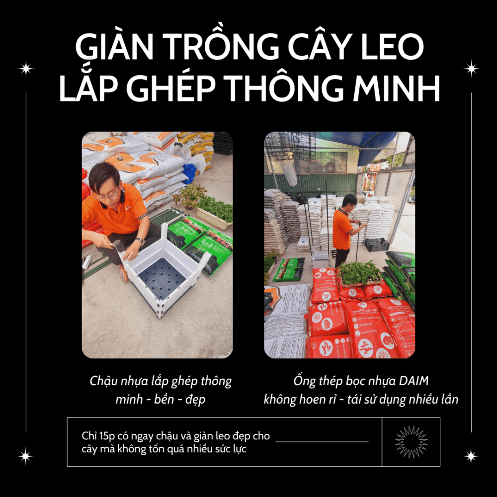 Gian Trong Cay Lap Ghep Thong Minh 4