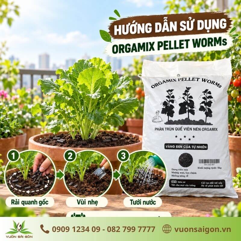 Cách sủ dụng phân trùn quế viên ORGAMIX PELLET WORMs