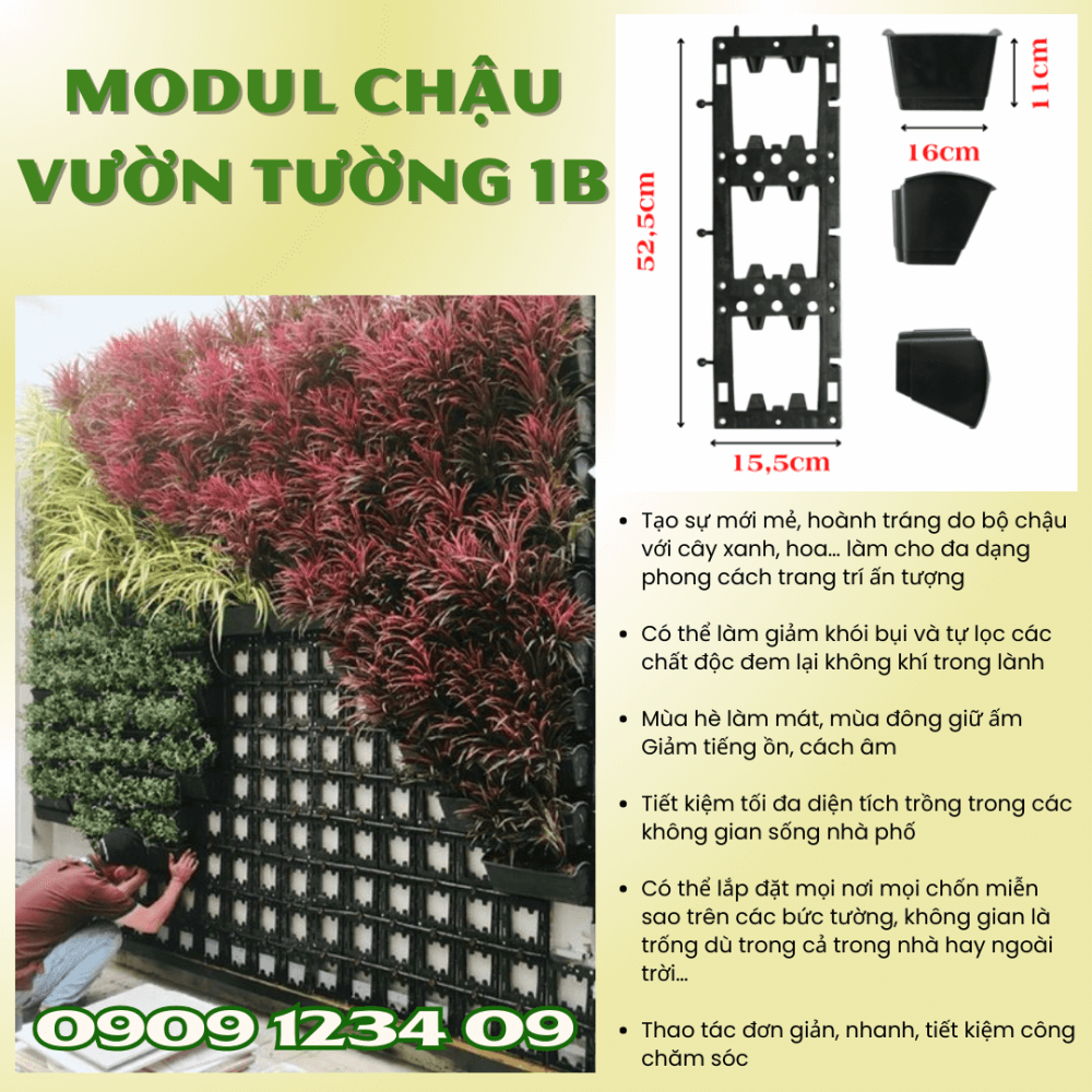 Chau Ap Tuong