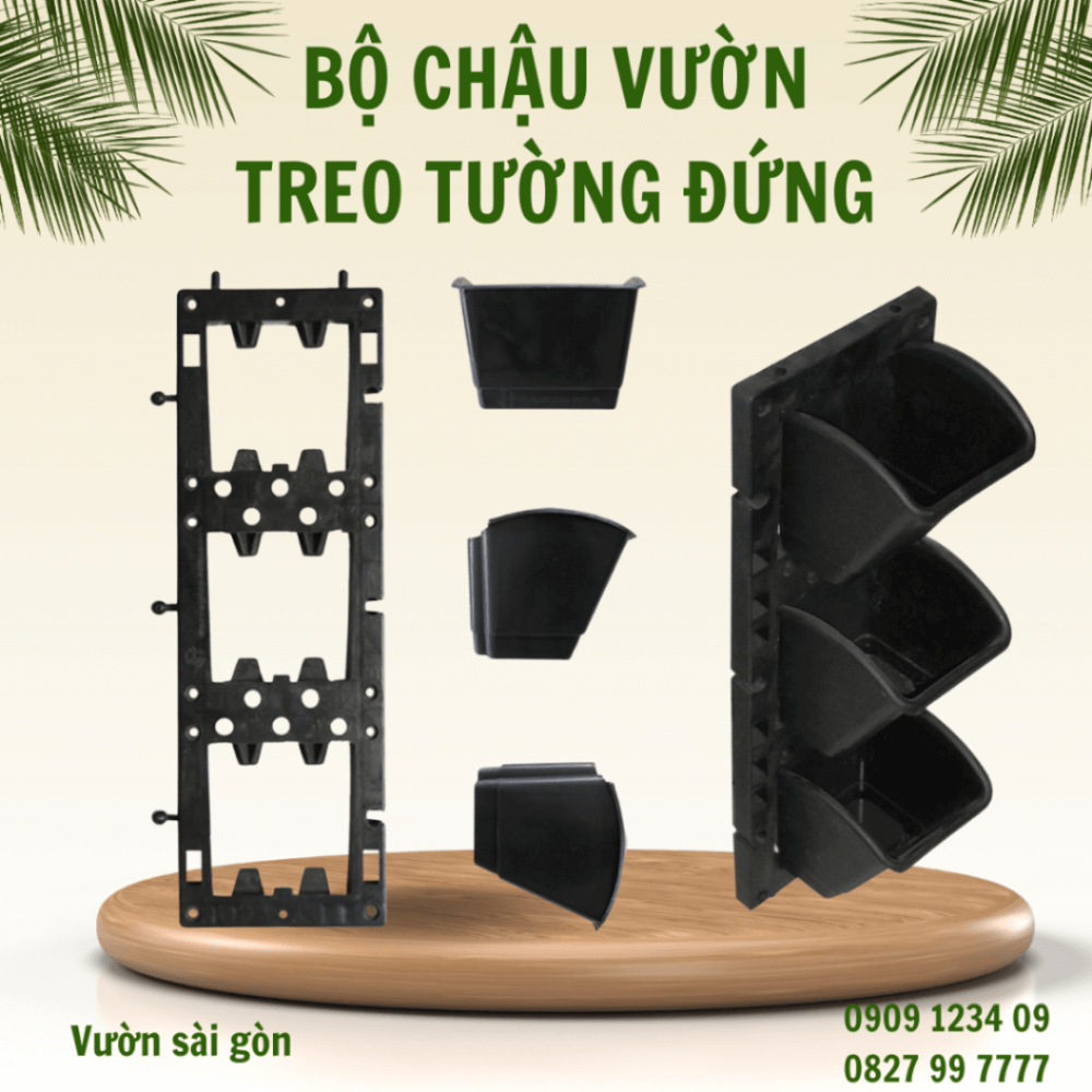 Chau Vuon Tuong (1)