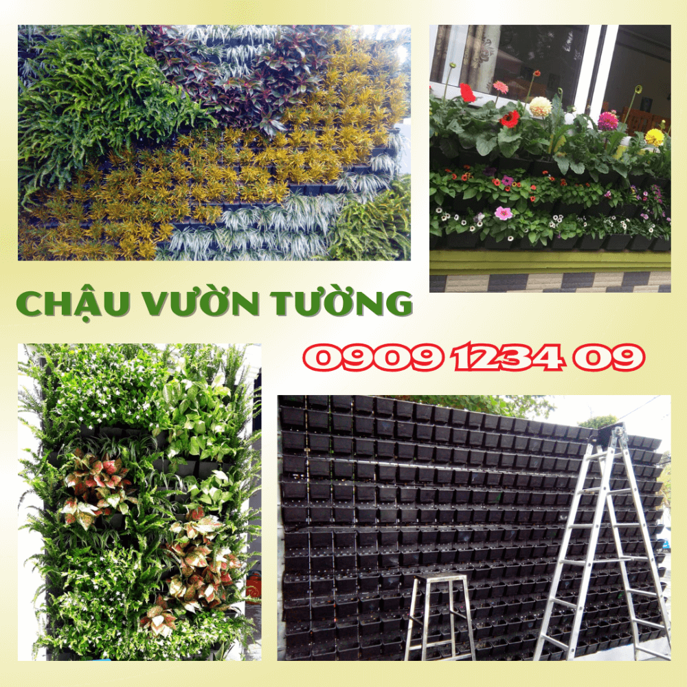 Chau Vuon Tuong