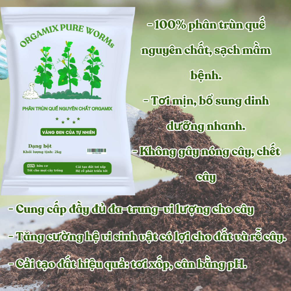 Phan Trun Que Orgamix Pure Worms (1)