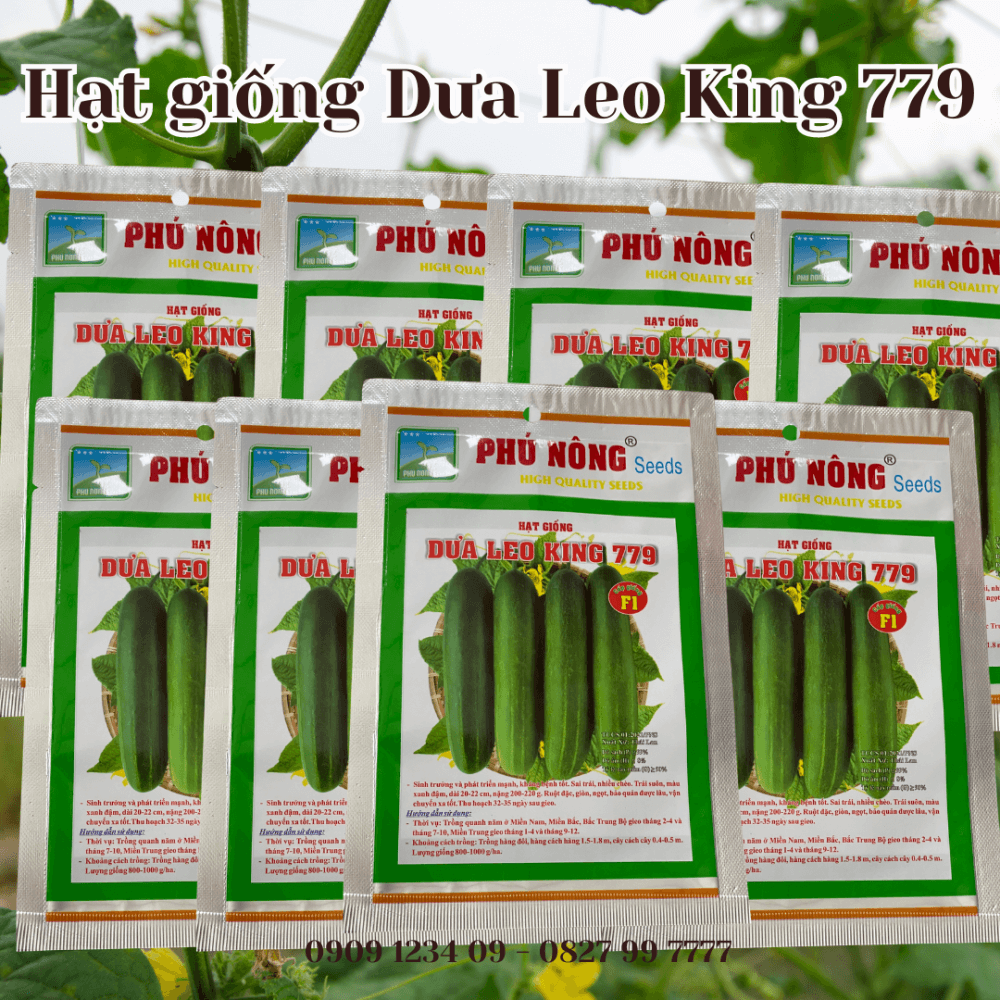Hat Giong Dua Leo King