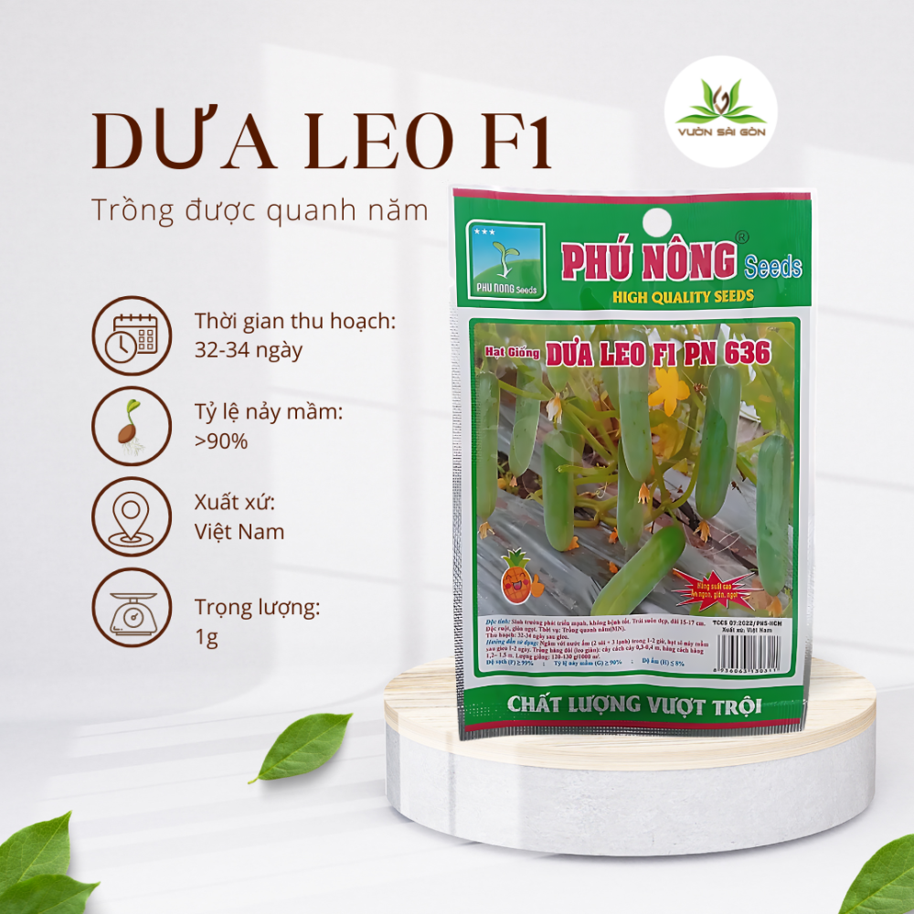 Hat Giong Dua Leo