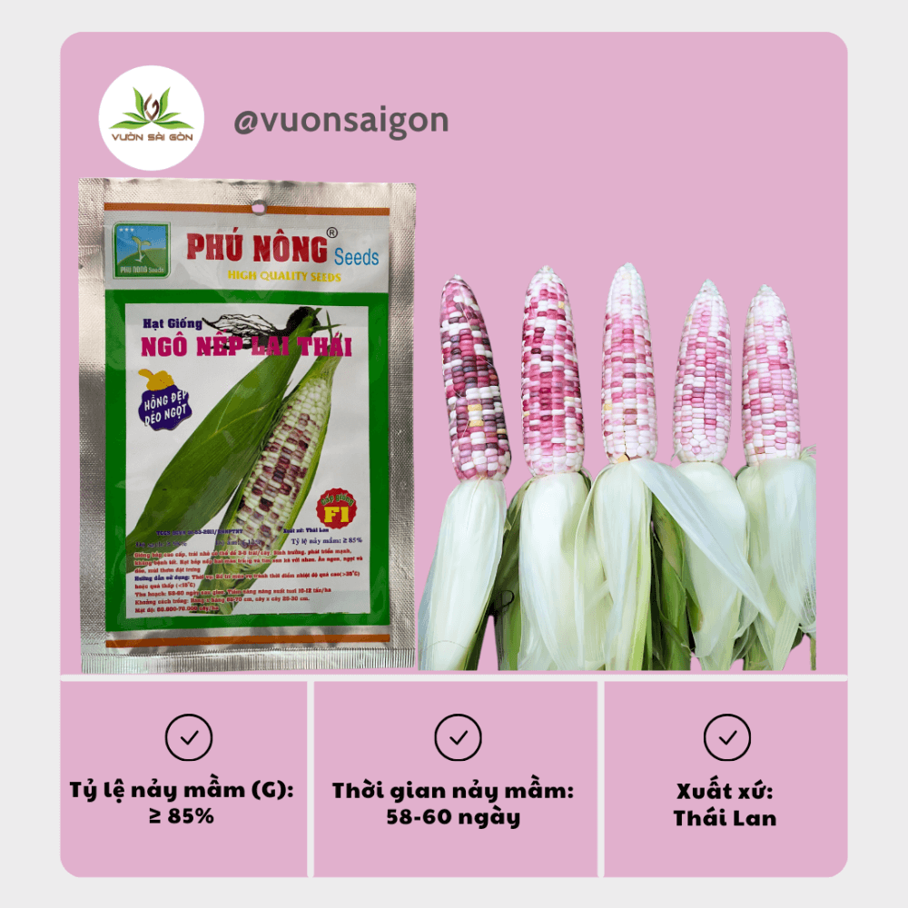 Hg Bap Nep Lai Thai (1)