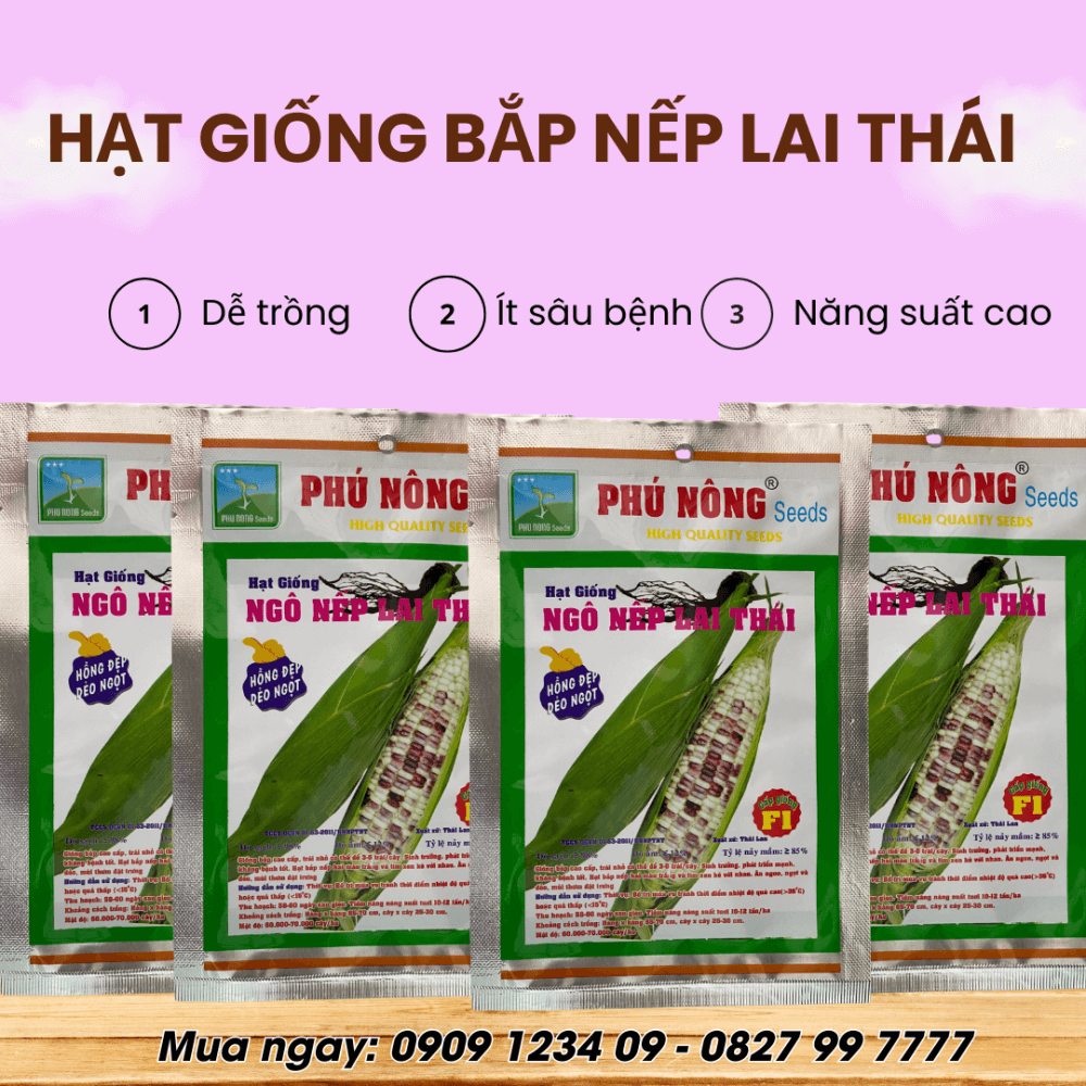 Hg Bap Nep Lai Thai (3)