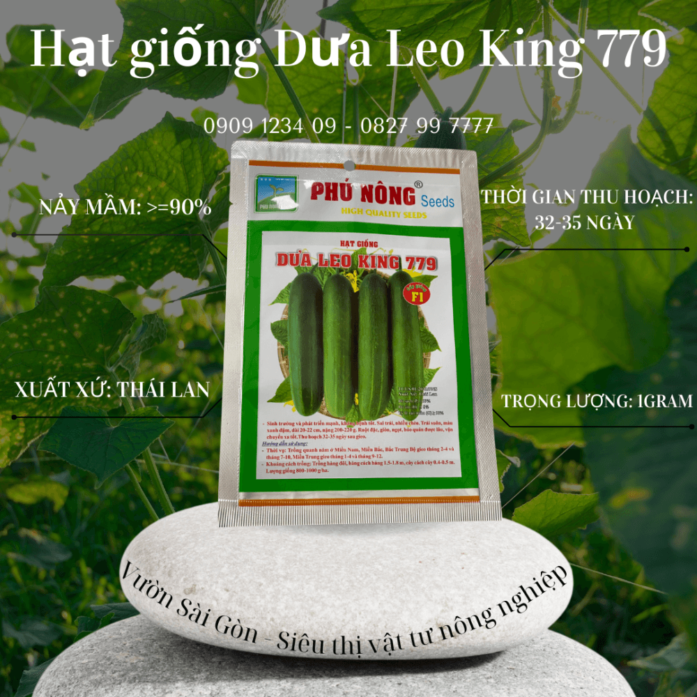 Hg Dua Leo King (3)