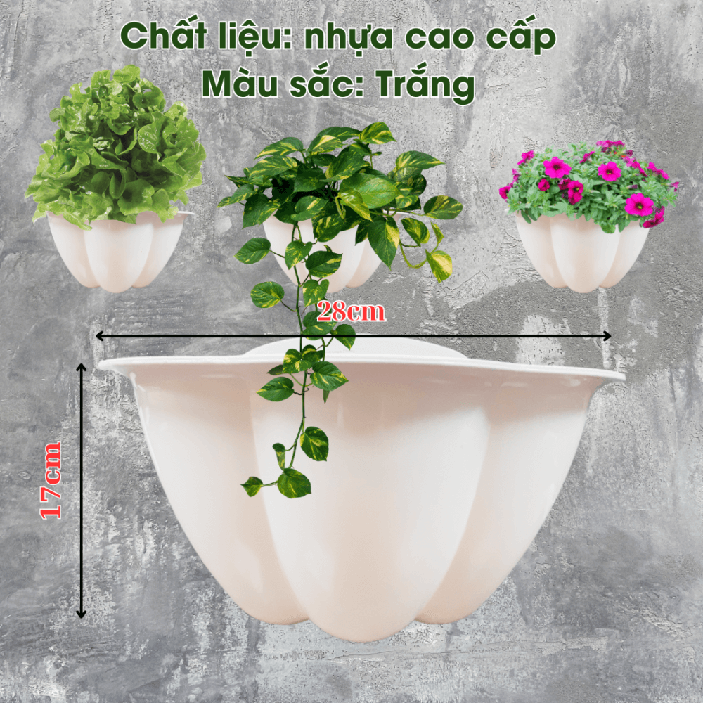 Chau Ap Tuong Hinh Trai Bi (1)