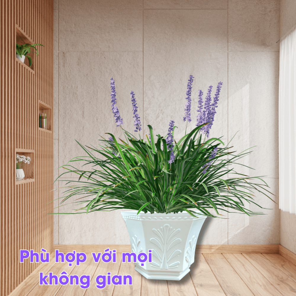 Chau Nhua Co May Trong Cay (2)