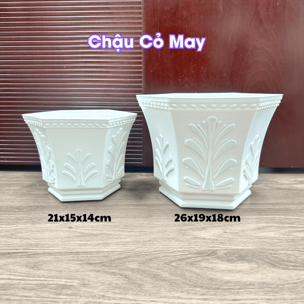 Chau Nhua Co May Trong Cay