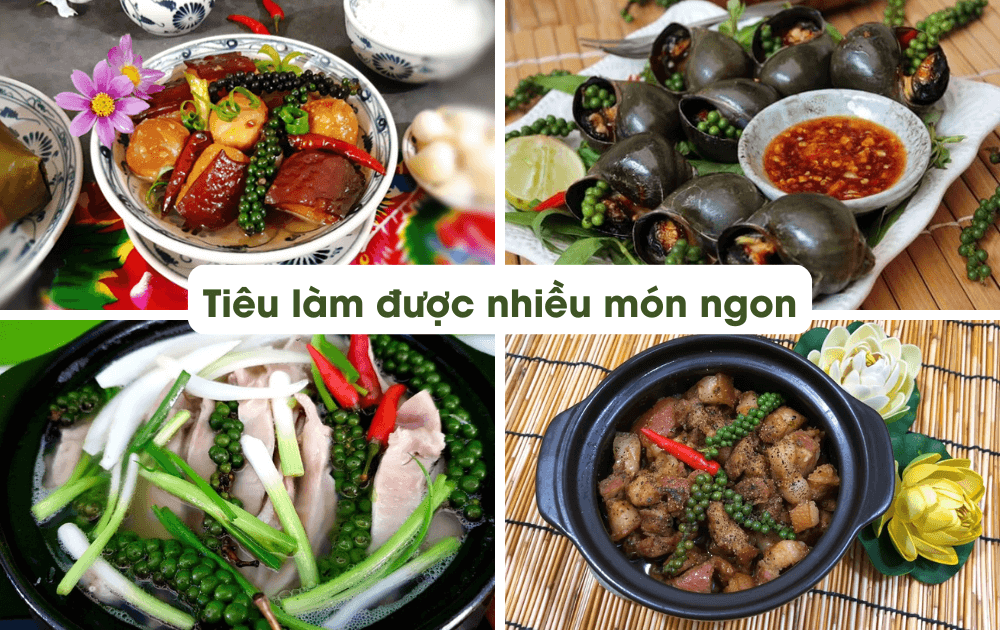 Cay Tieu Cao San Sieu Trai (4)