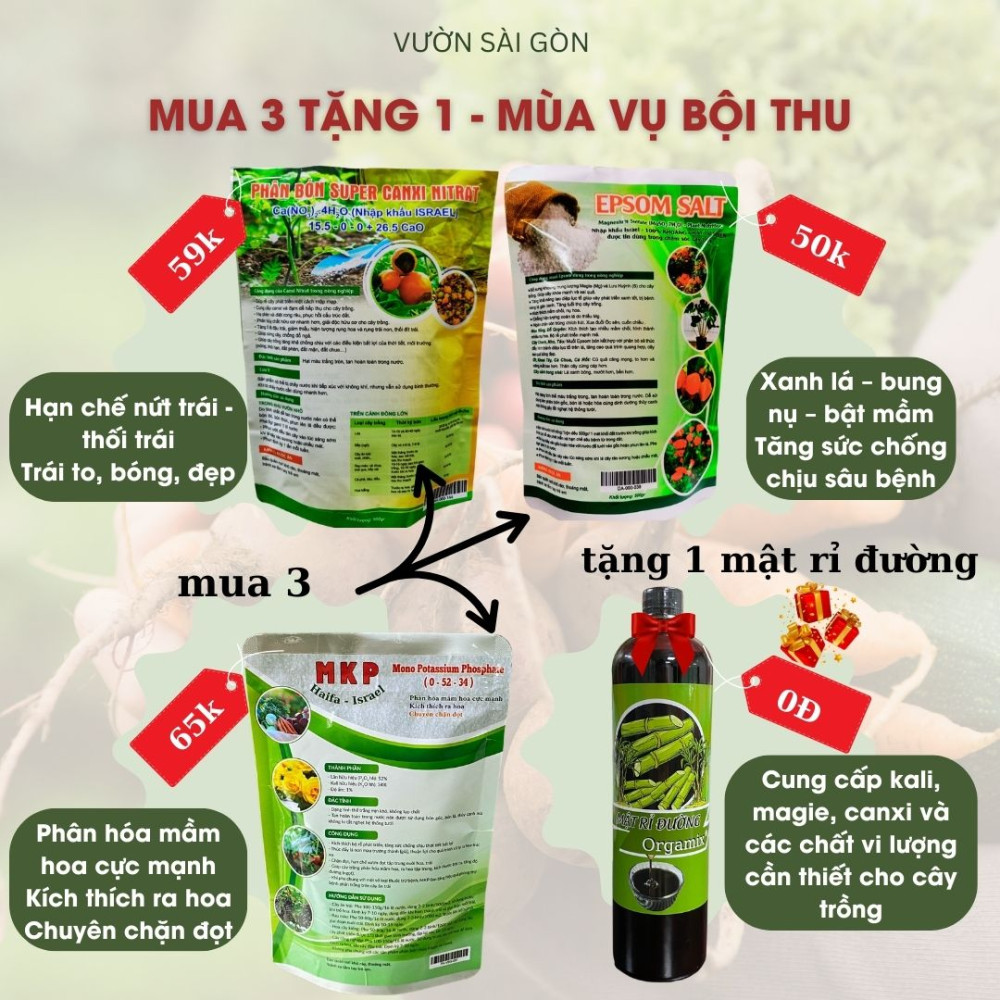 Mua 3 Tang 1'