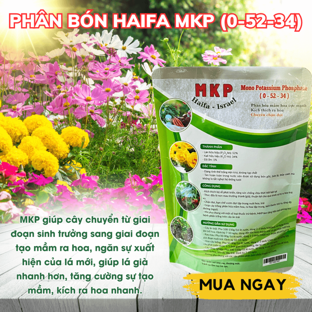 Phan Bon Mkp 0 52 34 Haifa (9)