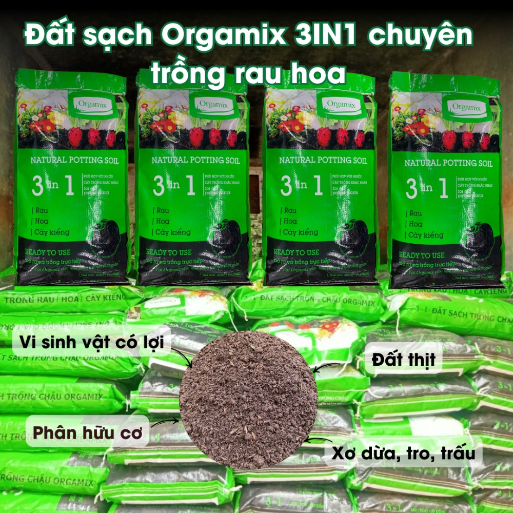 Mua Dat Trong Cay O Dau Tại Tphcm (5)