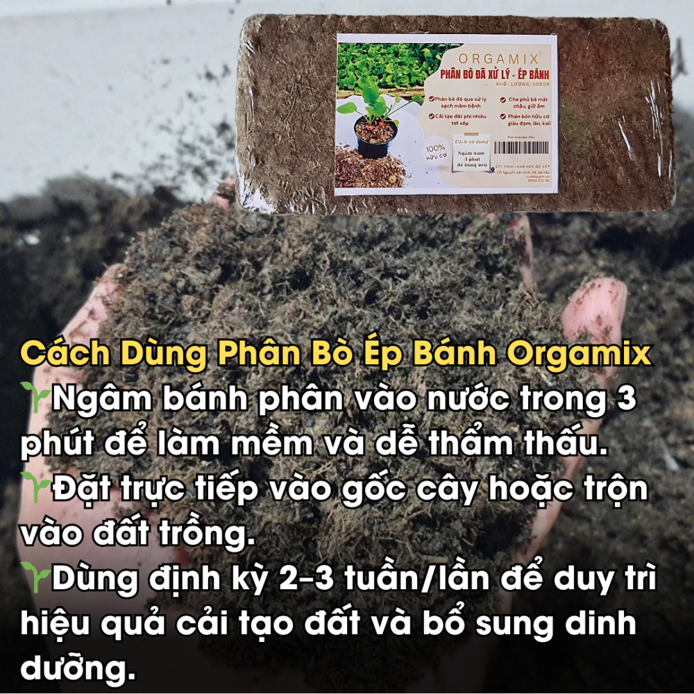 Phan Bo Ep Banh (6)