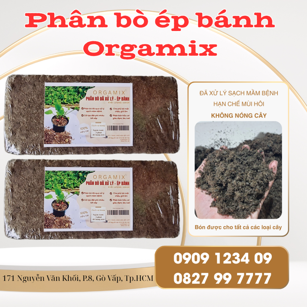 Phan Bo Ep Banh (9)