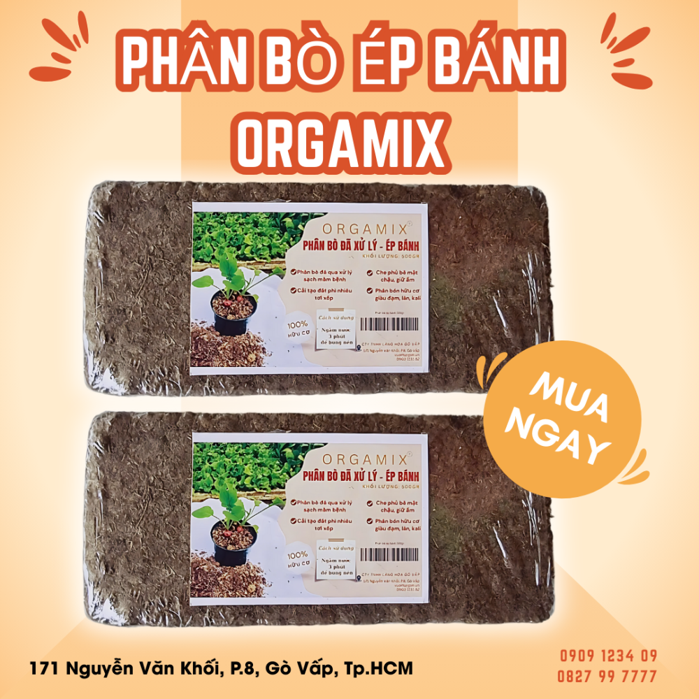 Phan Bo Ep Banh Orgamix (1)