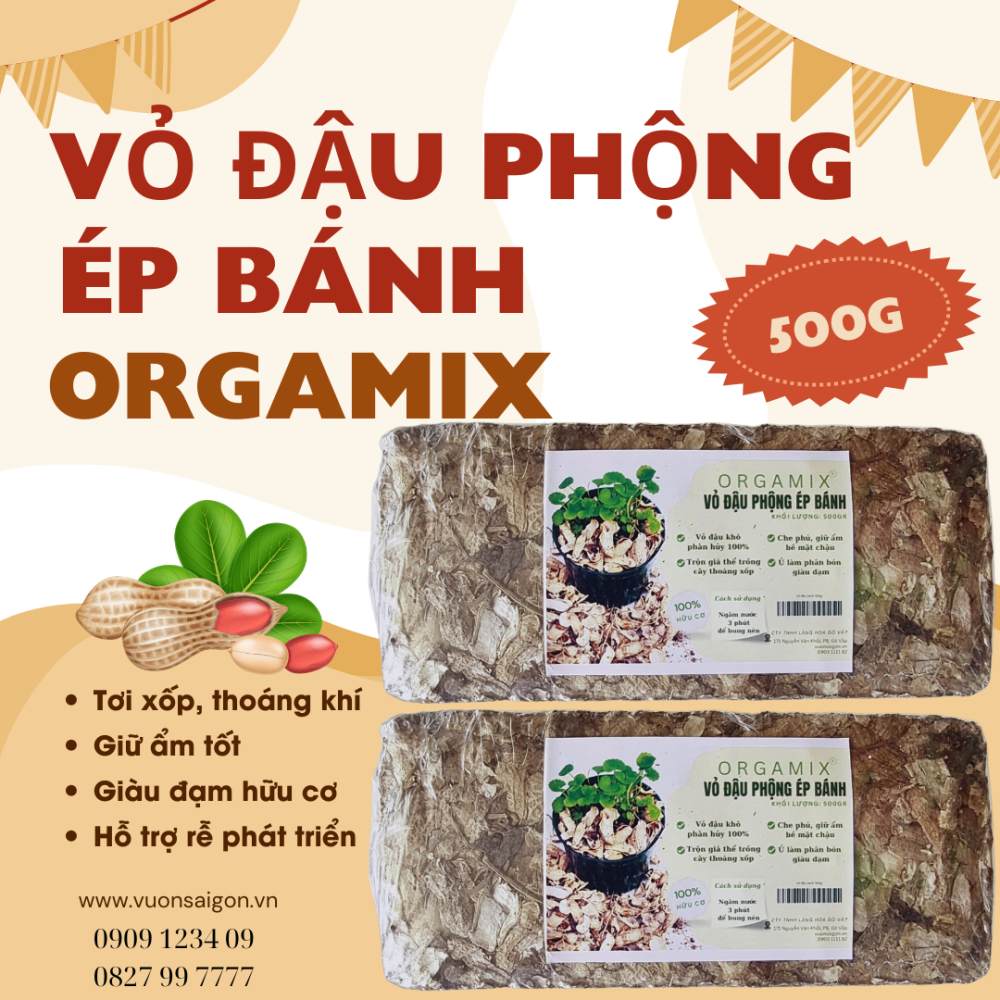Vo Dau Phong Ep Banh (8)