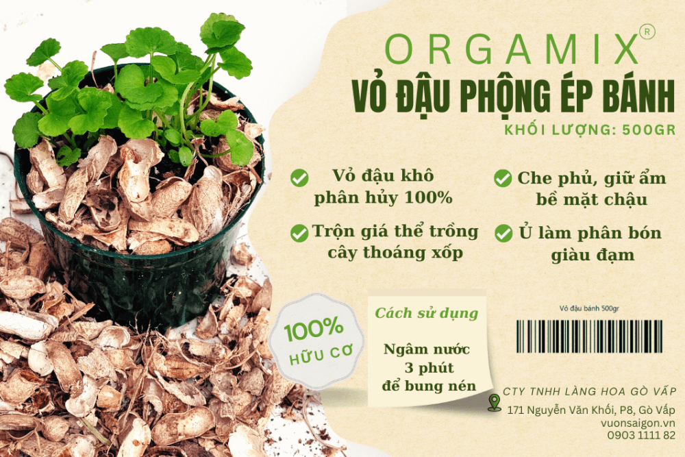 Vỏ đậu