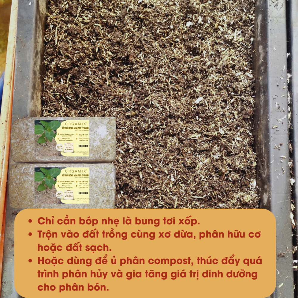 Vo Trau Va Ba Mia Ep Banh (4)
