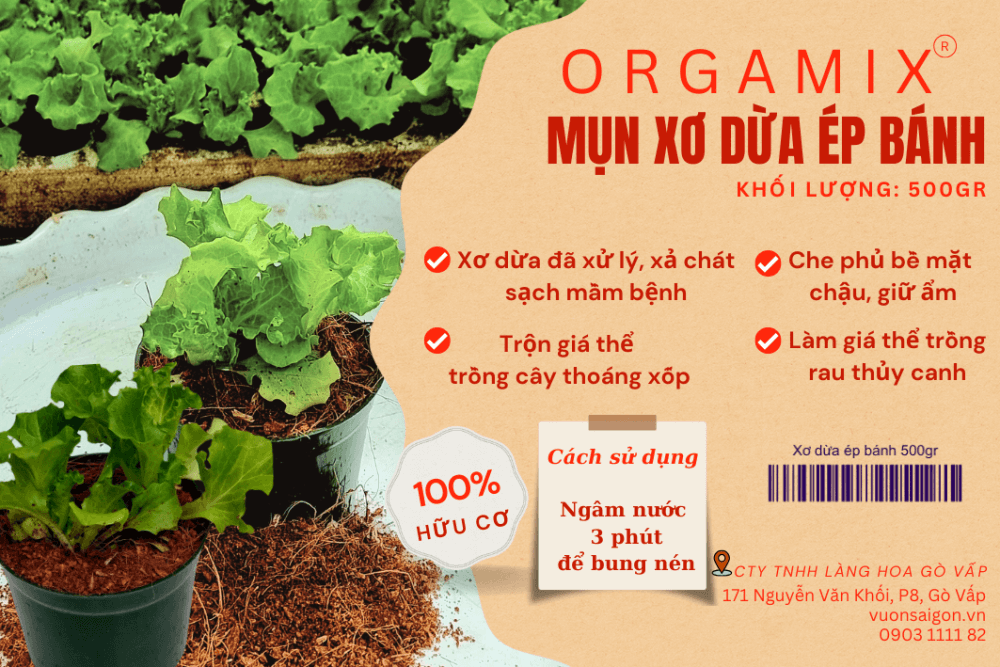 Xơ Dừa