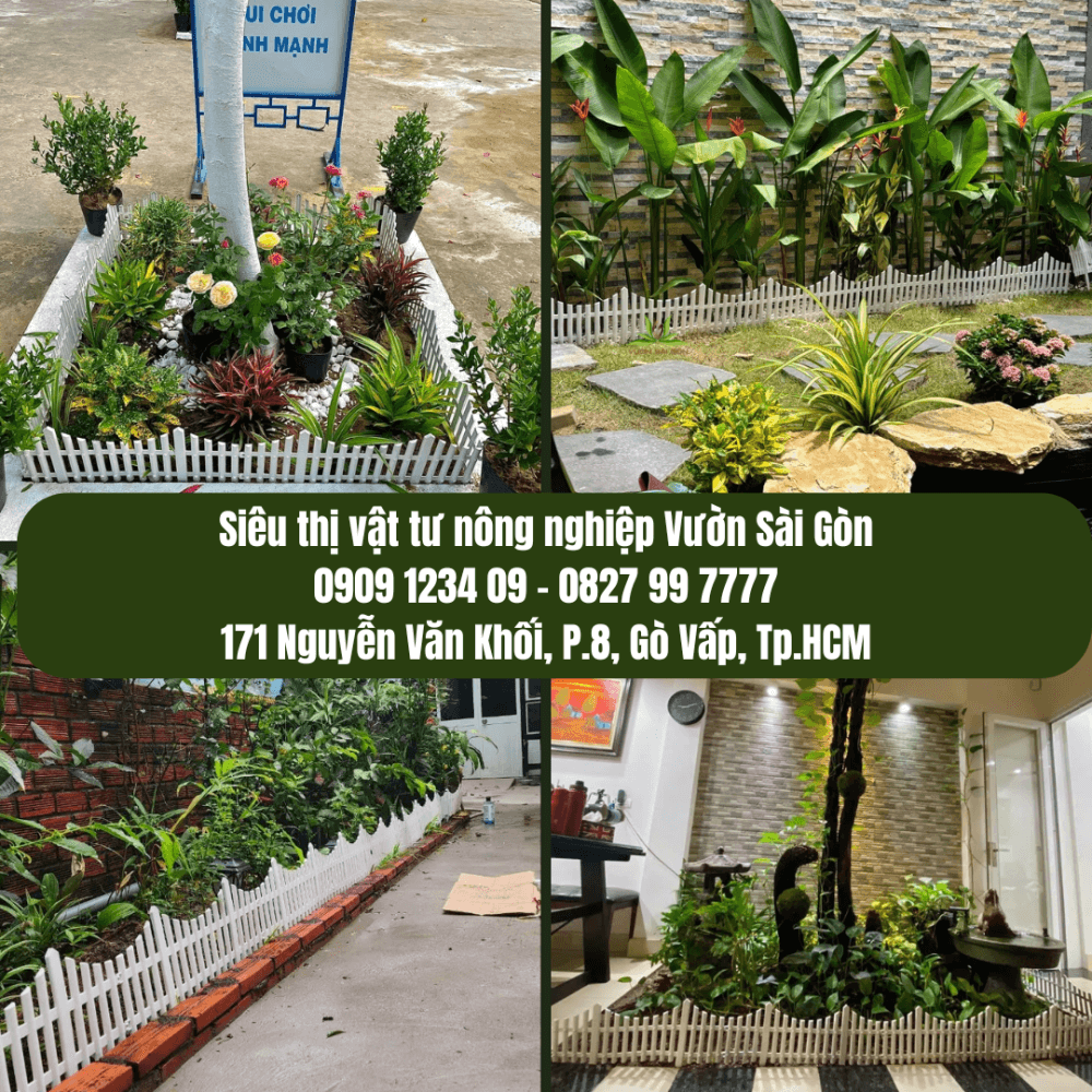 Hang Rao Nhua Deo Hinh Canh Buom (7)