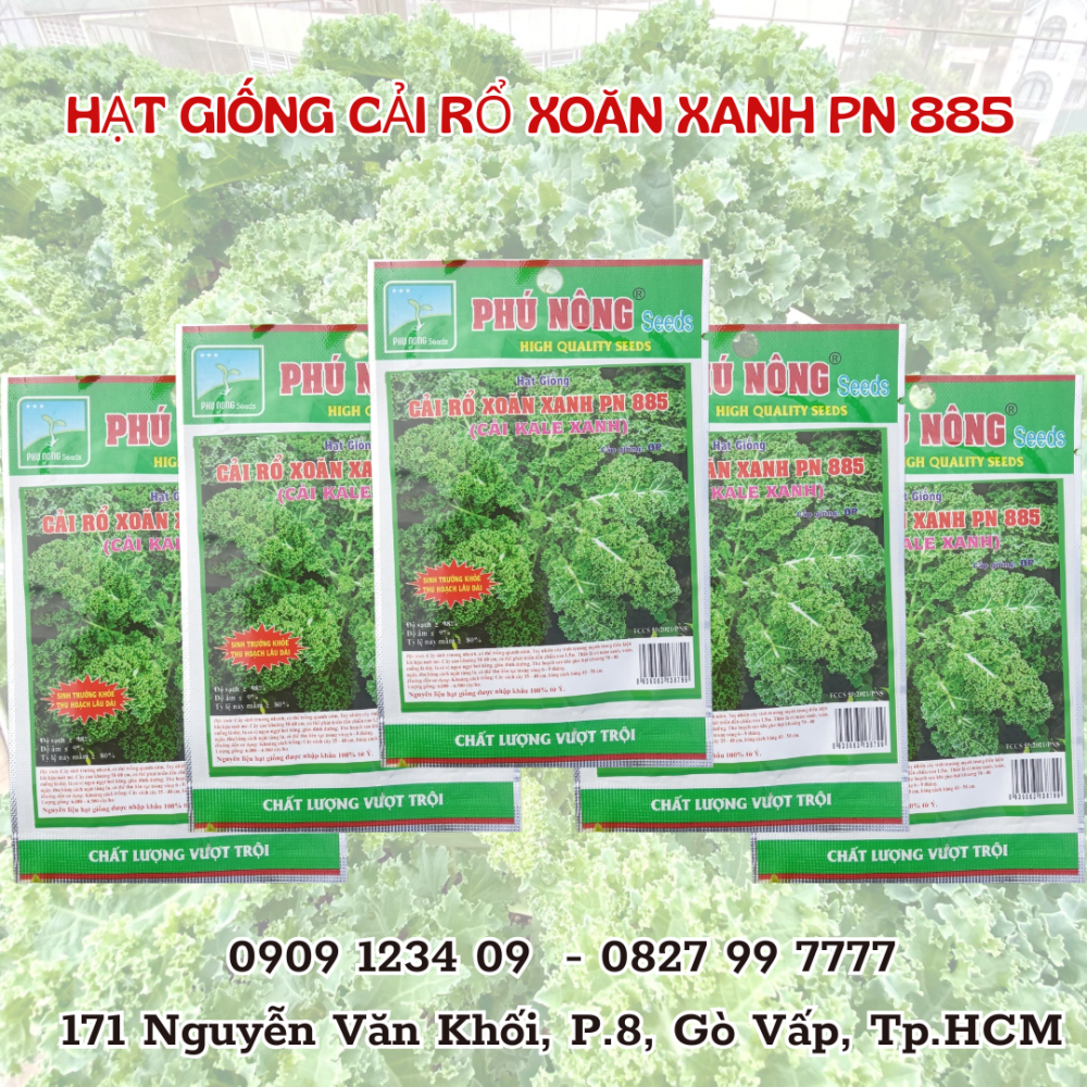 Hg Cai Kale Xoan Xanh (4) Hg Cai Kale Xoan Xanh (4)