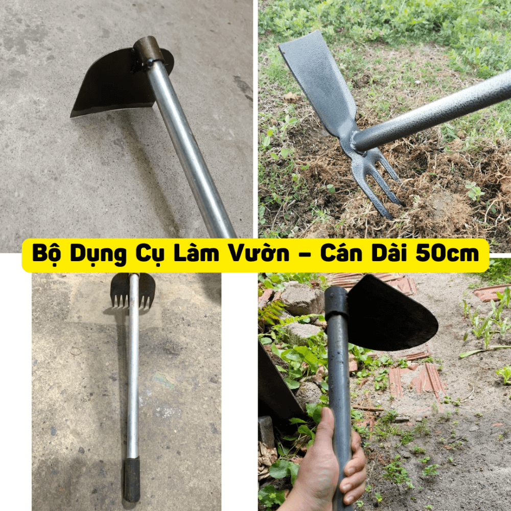 Bolam Vuon Can Dai 50cm
