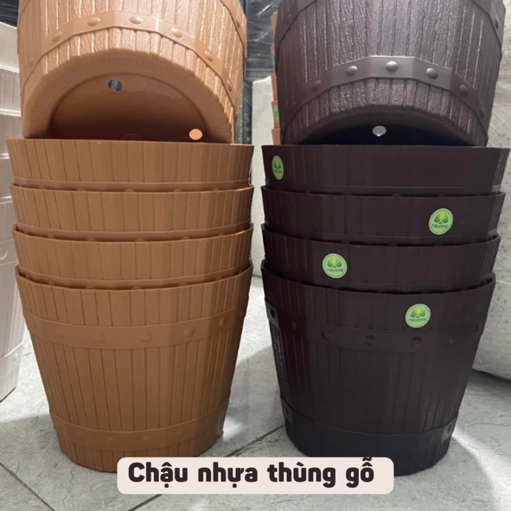 Chau Nhua Thung Go Day Thung (10)