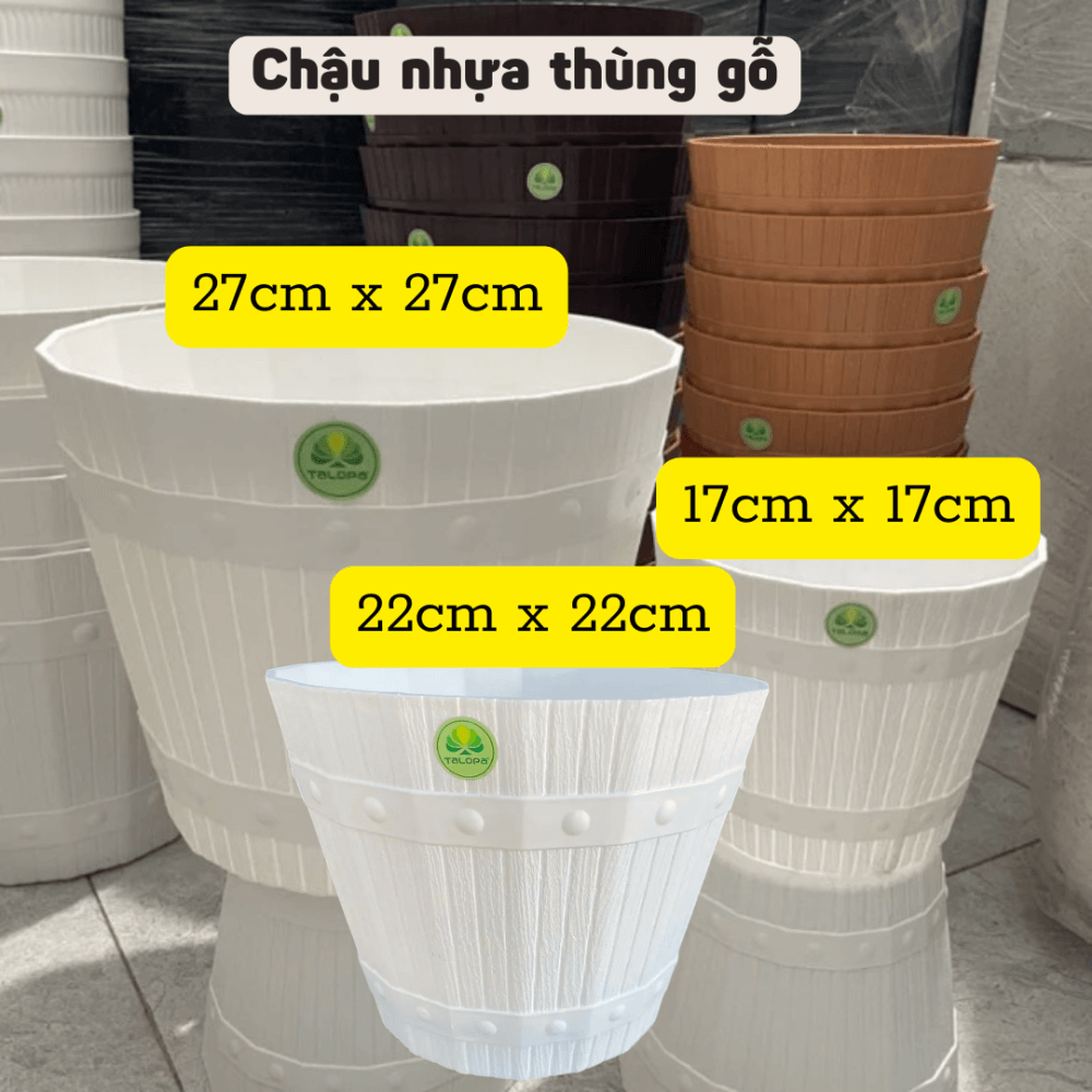 Chau Nhua Thung Go Day Thung (11)