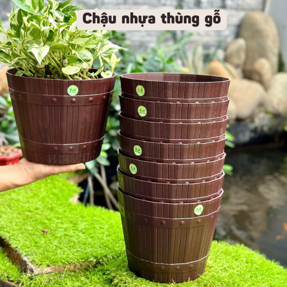 Chau Nhua Thung Go Day Thung (9)