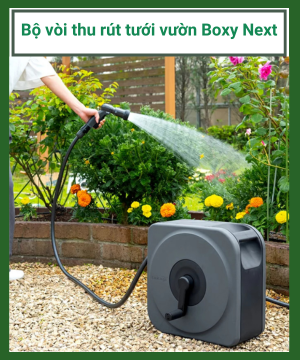 Bo Voi Thu Rut Tuoi Vuon Boxy Next