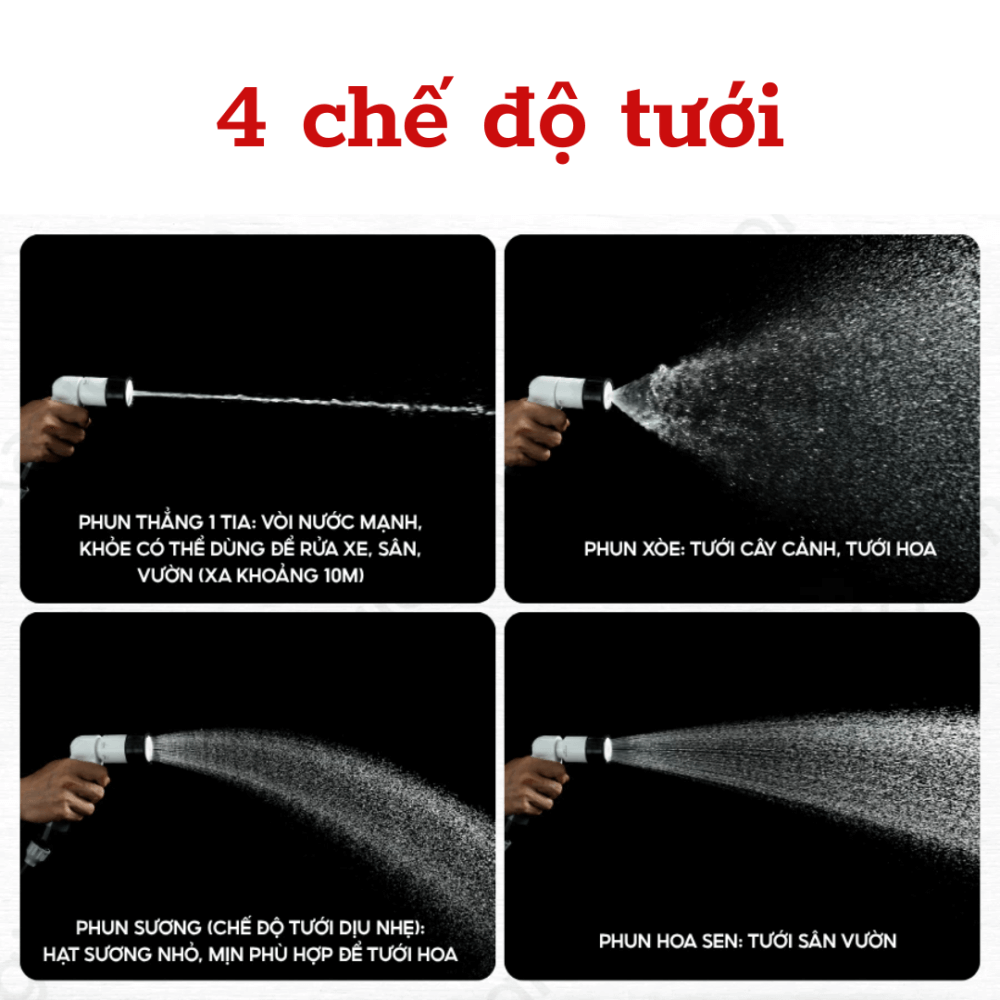 Bo Voi Tuoi Aurora Lighto