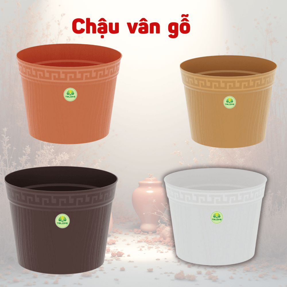 Chau Van Go (1)