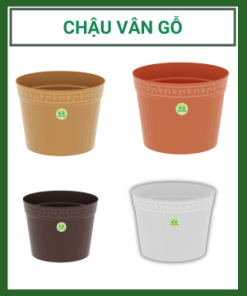 Chau Van Go