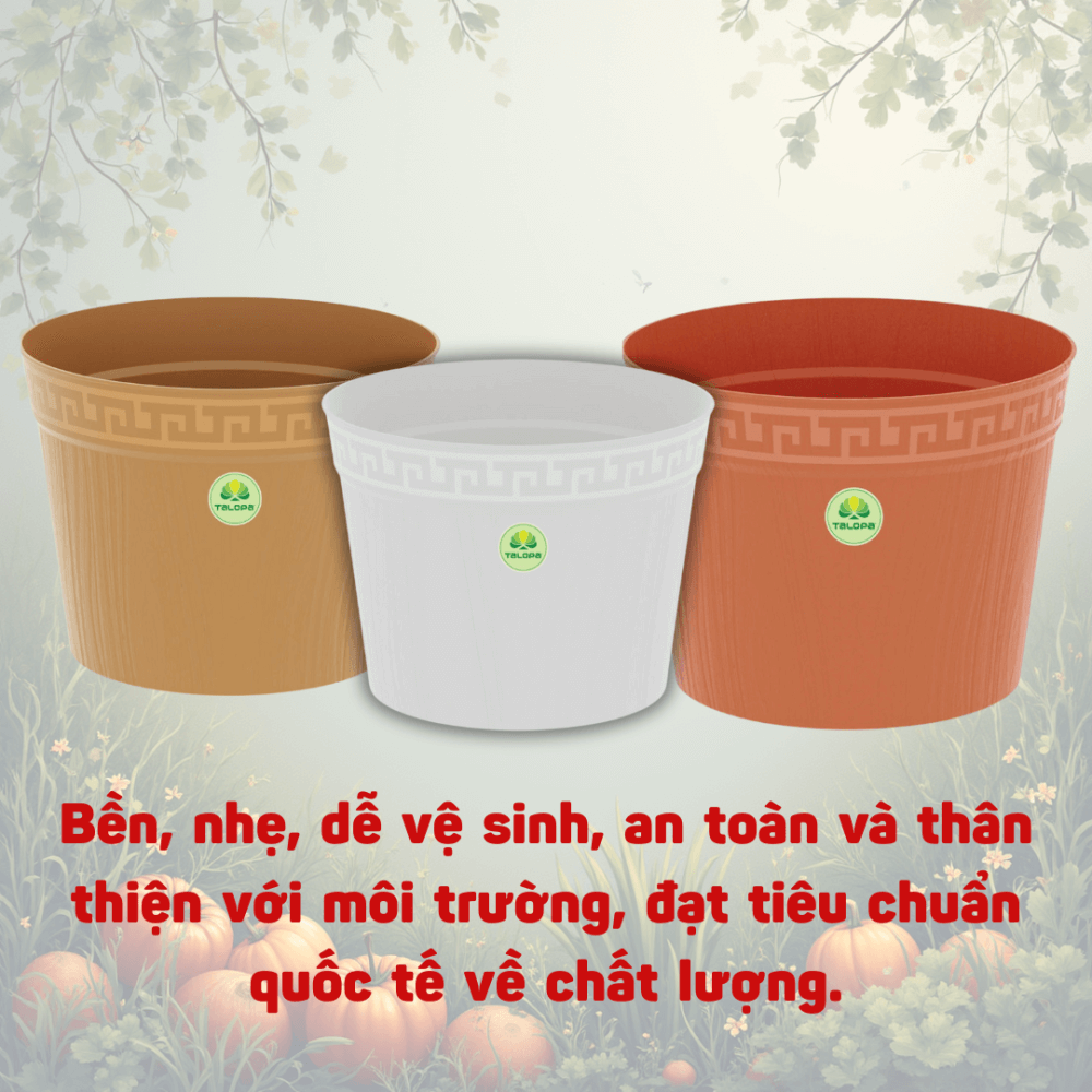 Chau Van Go (3)