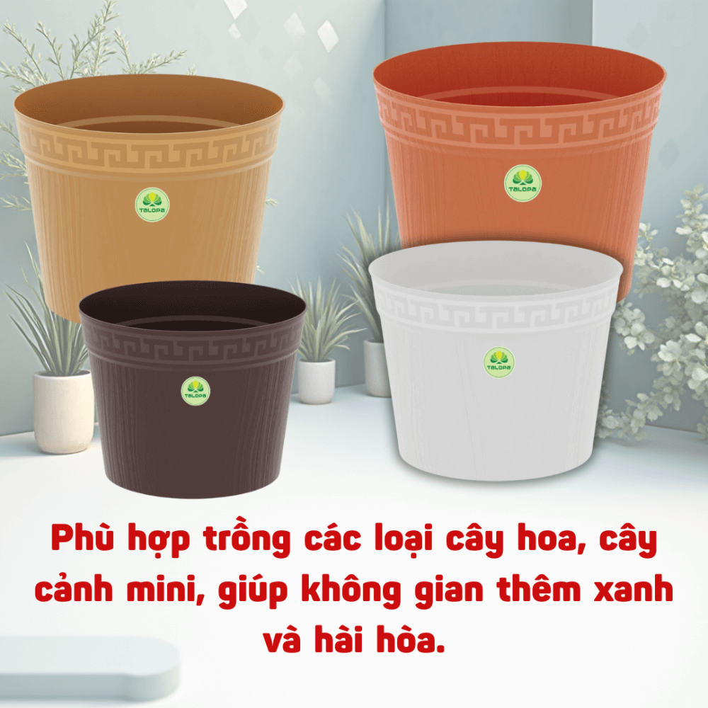 Chau Van Go (4)