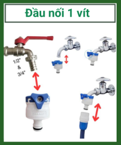 Dau Noi 1 Vit