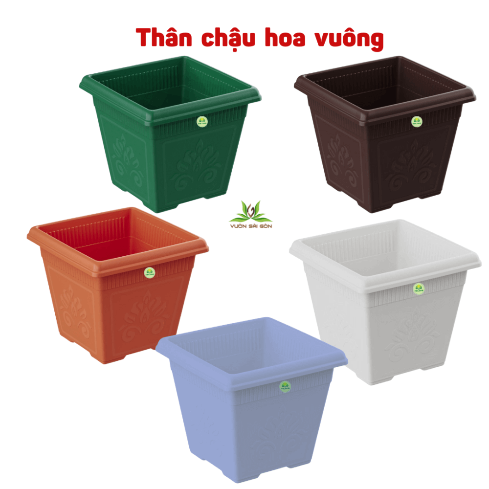 Than Chau Hoa Vuong (1)