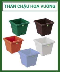 Than Chau Hoa Vuong