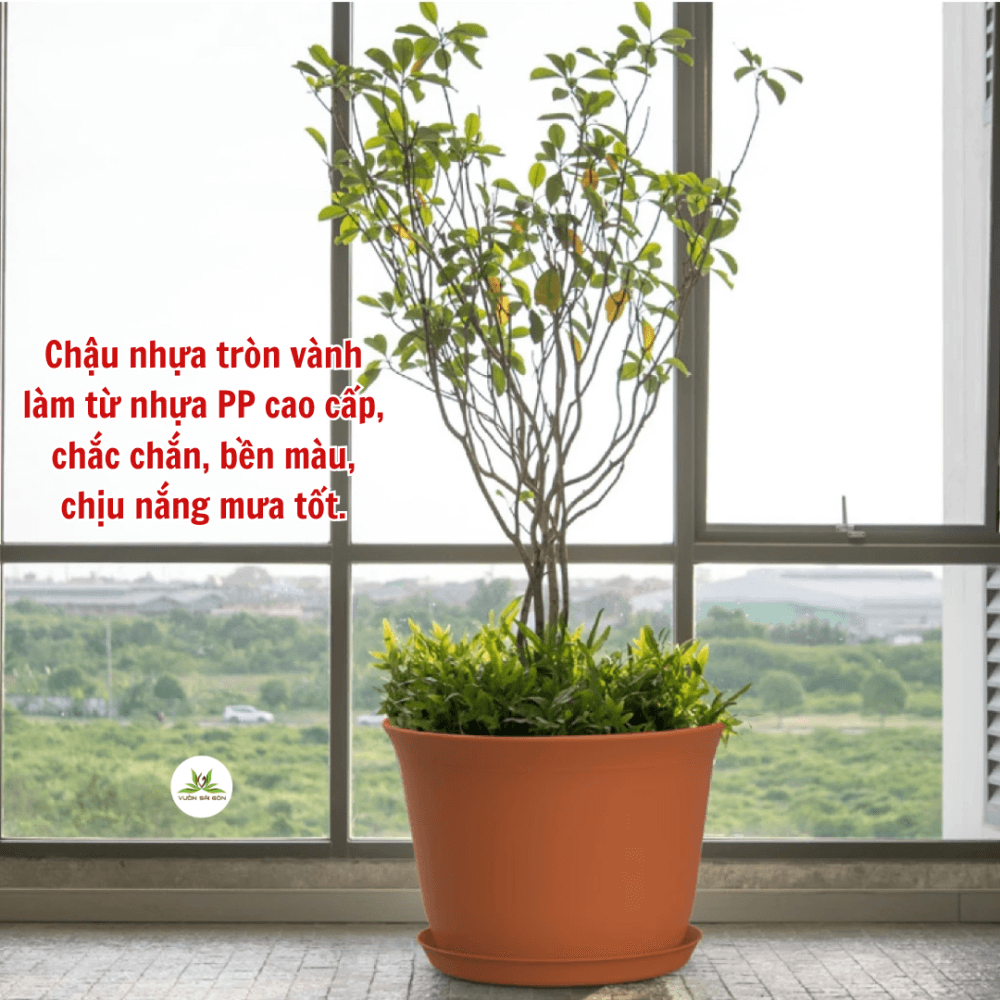 Than Chau Tron Vanh (1)