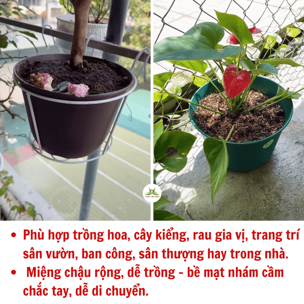 Than Chau Tron Vanh (2)