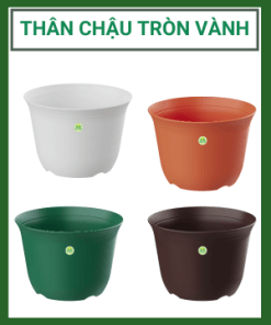 Than Chau Tron Vanh