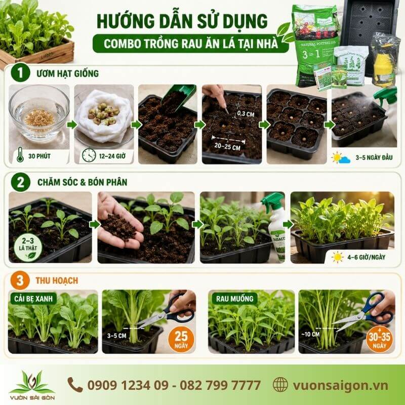 Cách trồng rau ăn lá đơn giản tại nhà