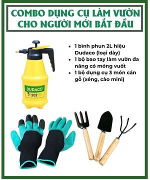 Combo Dụng Cụ Làm Vườn Cho Người Mới Bắt Đầu