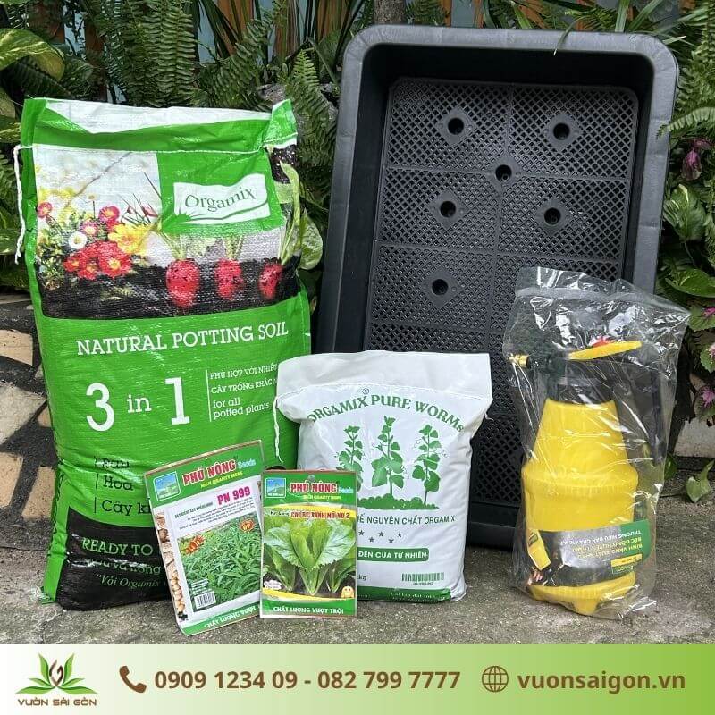 Combo trồng rau ăn lá tại nhà đơn giản, dễ trồng