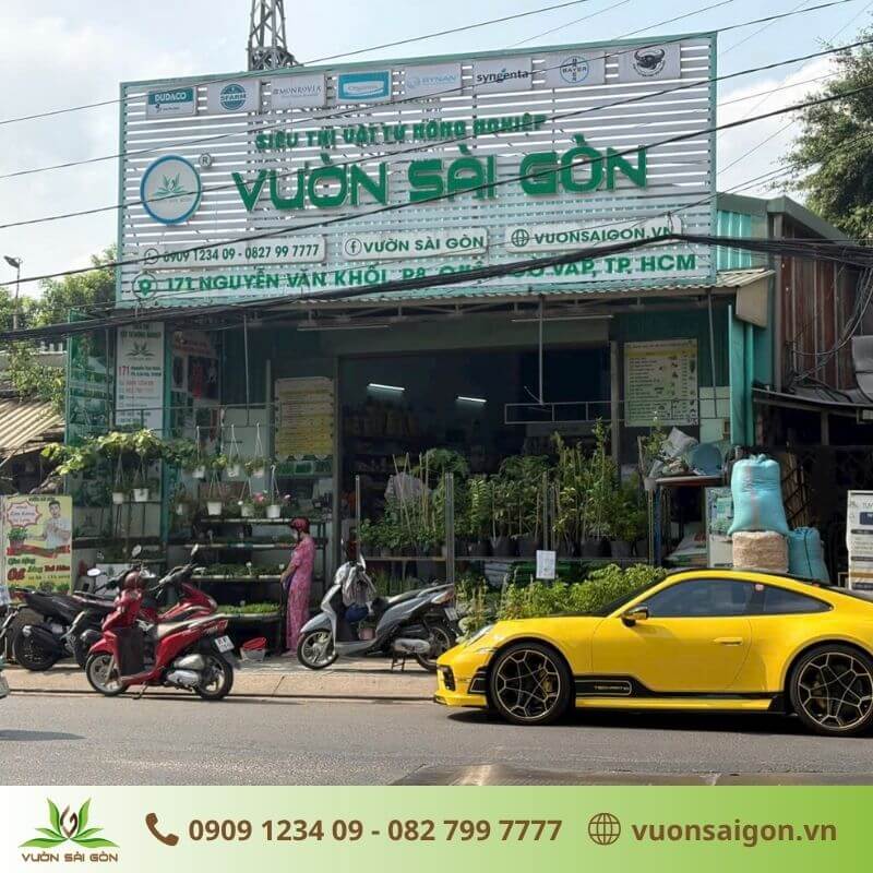 Địa chỉ mua tại Vườn Sài Gòn